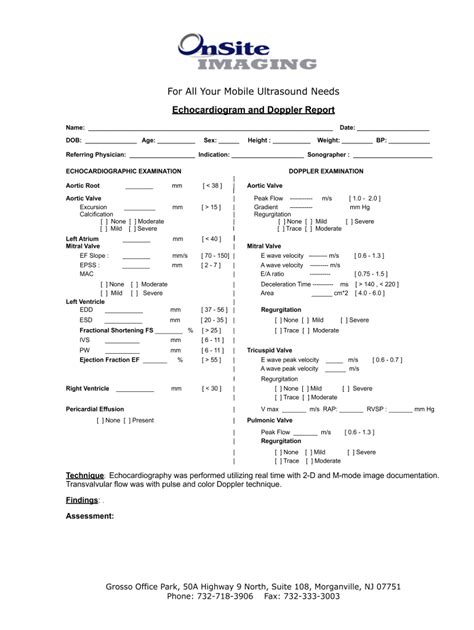 normal echocardiography report